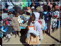 madagasvar002009.gif